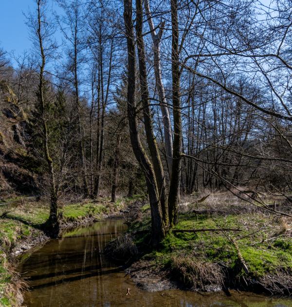 Houffalize