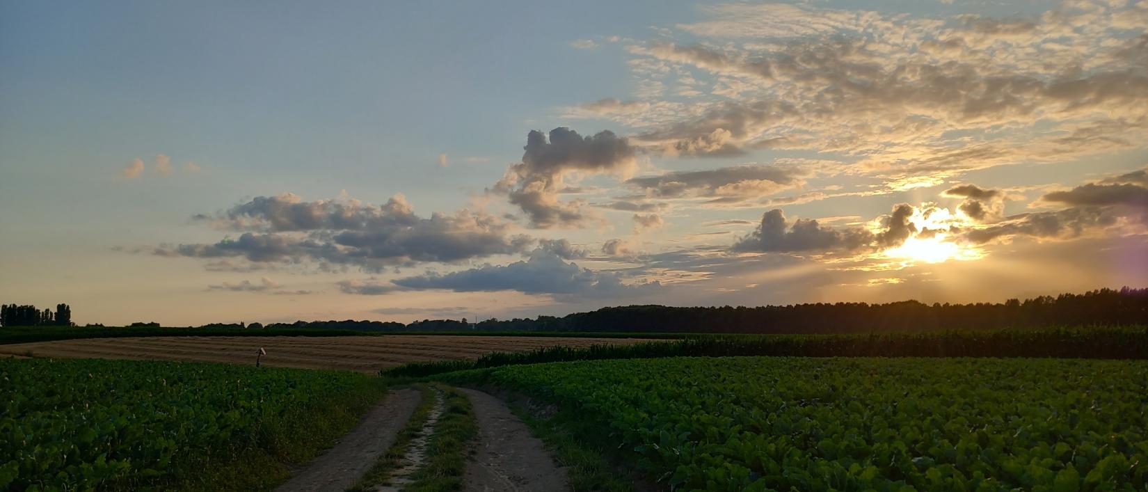 Tijdens onze wandeling genieten we van een mooie zonsondergang.
