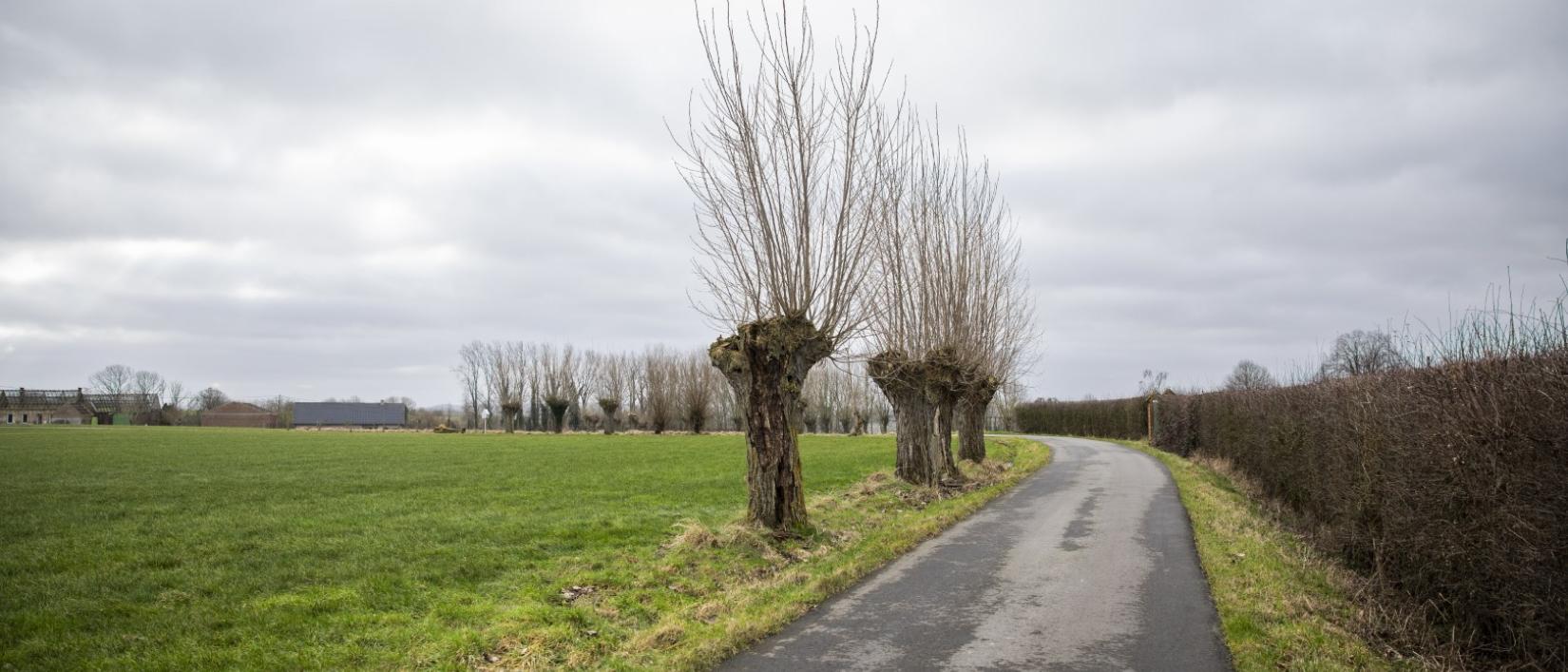 Oudenaarde