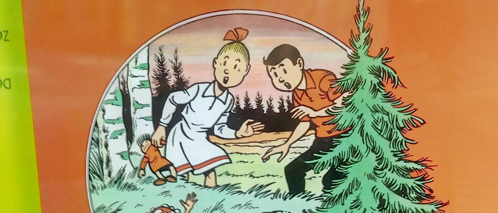 het geheim van de Kalmthoutse Heide (strip van Suske en Wiske)
