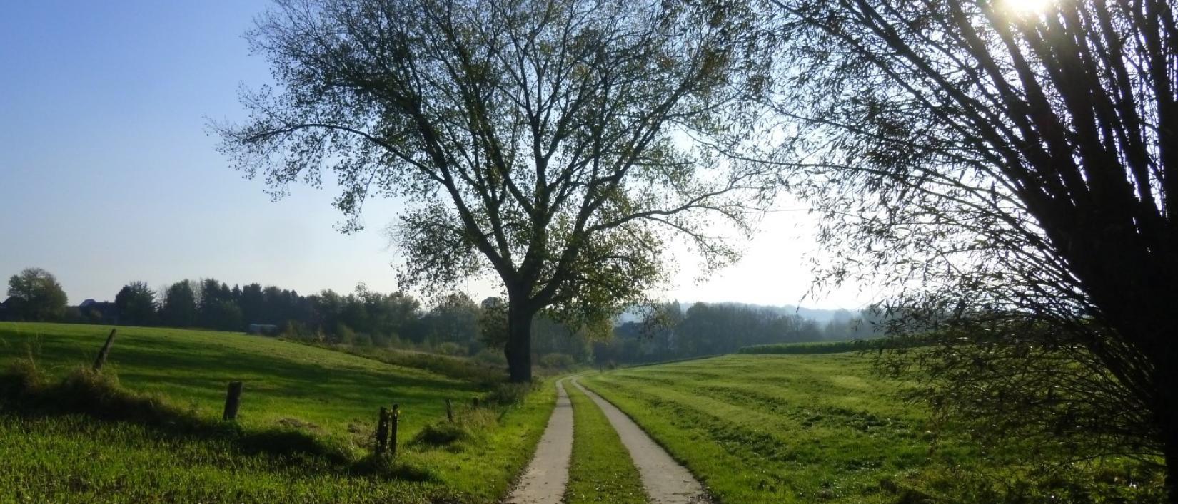 Relegem