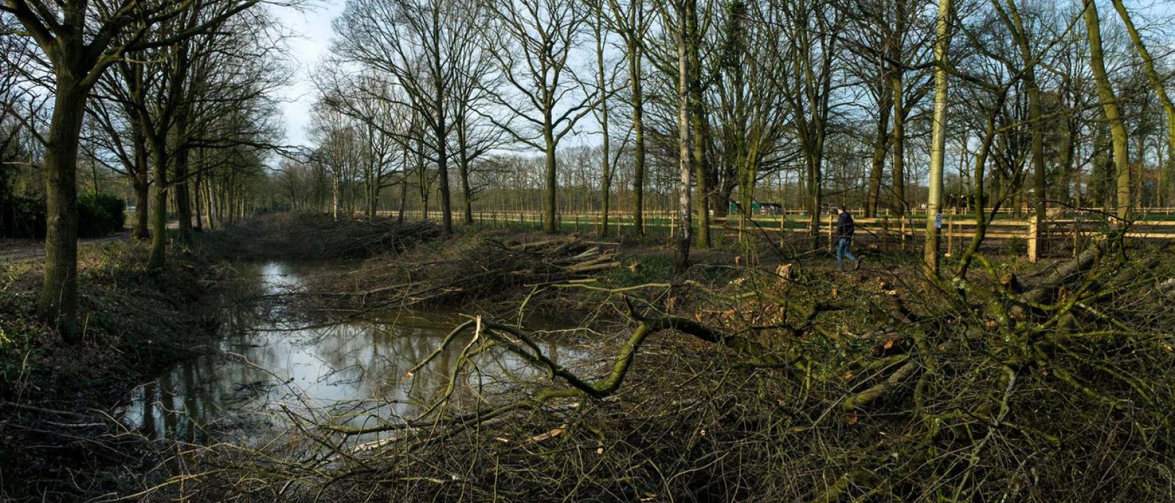 Winterwandeling