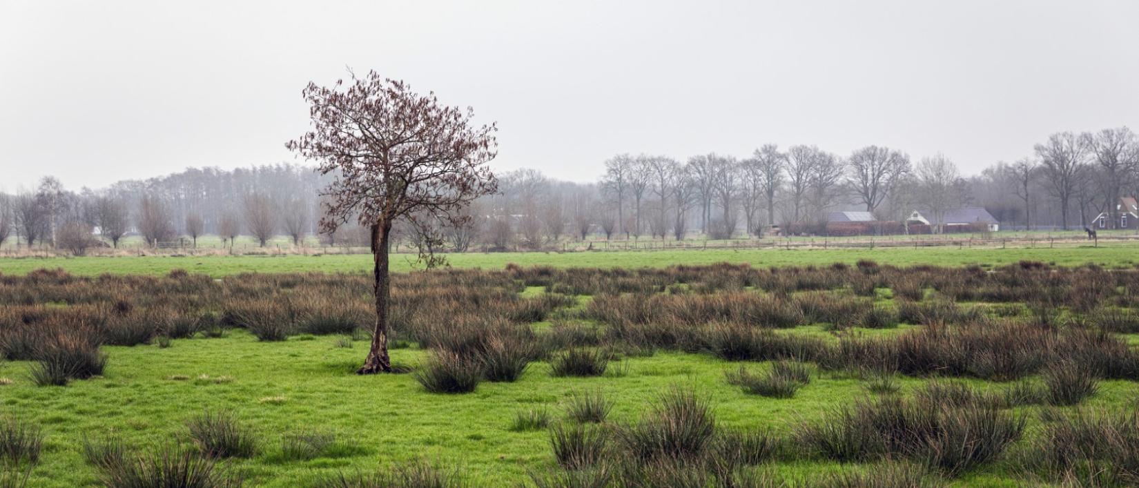 Drenthe