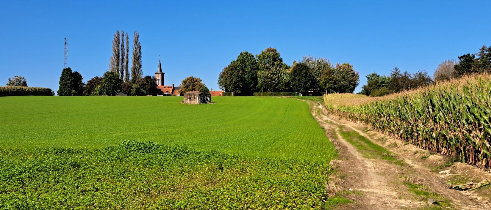 Dagwandeling