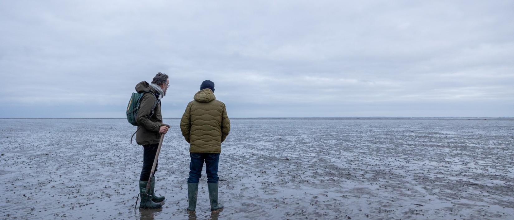 Wadden