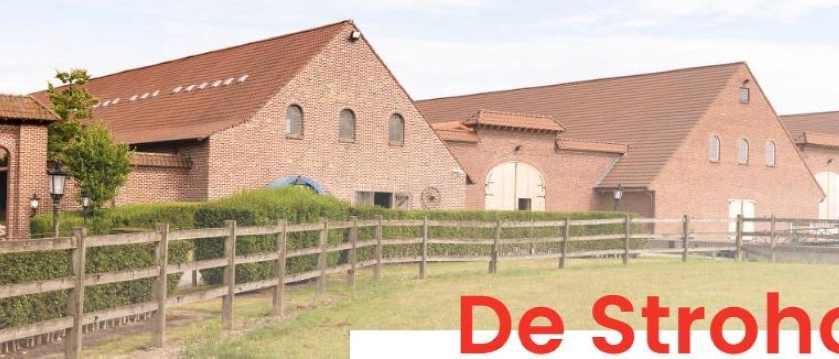 Stoeterij