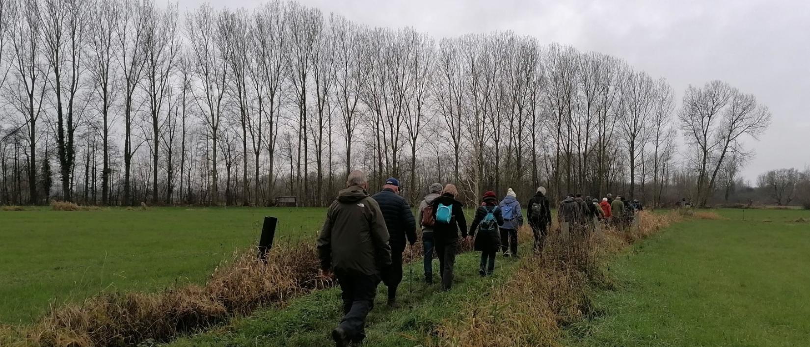Steenhuffe