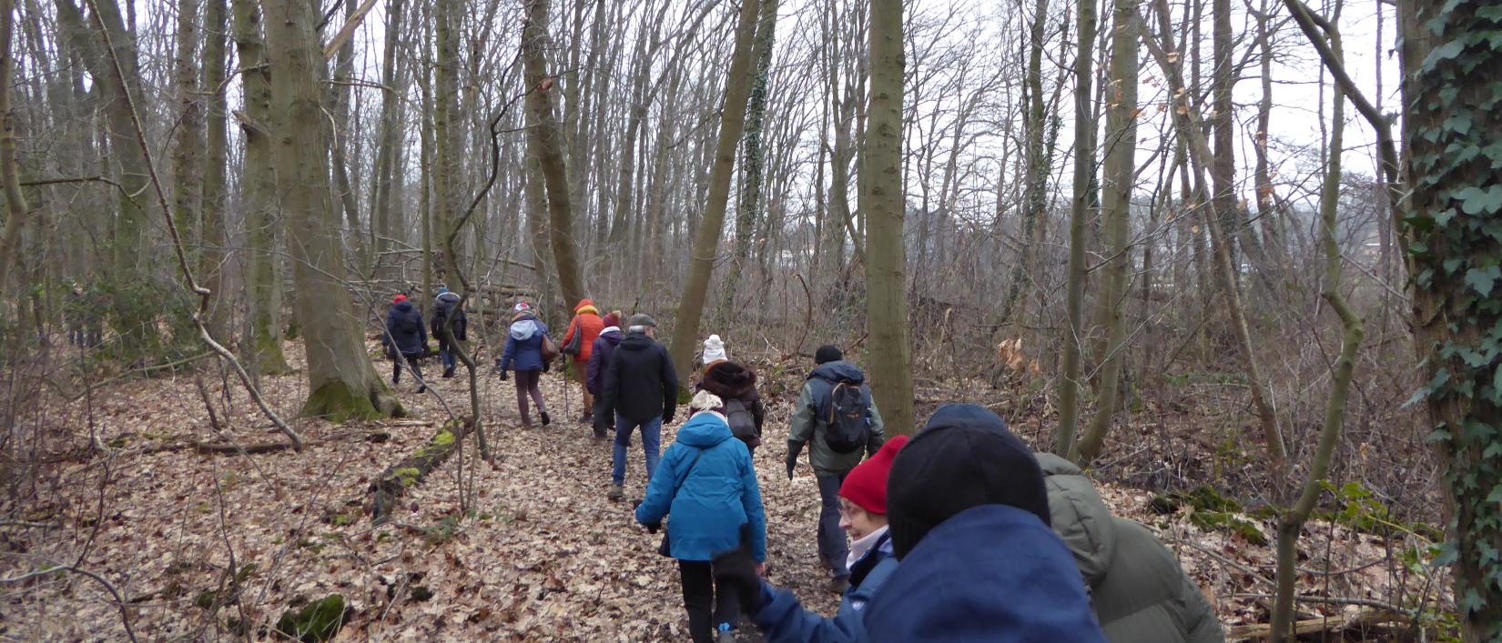 Wandelaars in een winters bos
