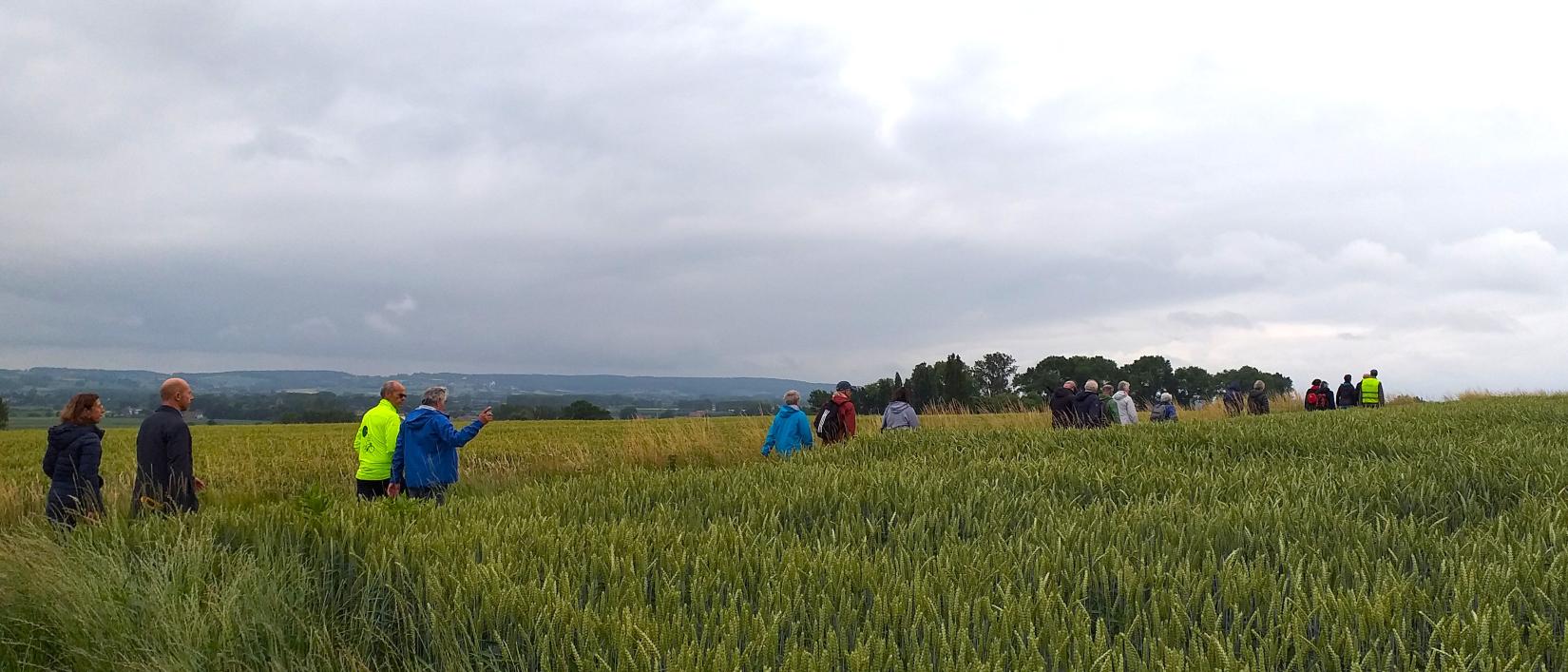 Dagwandeling Wortegem