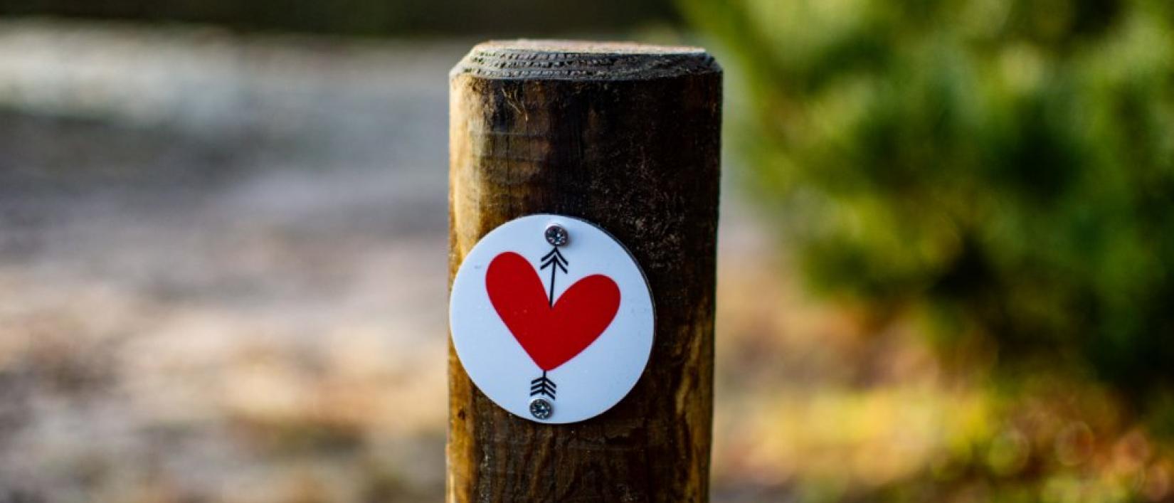 tour d'amour