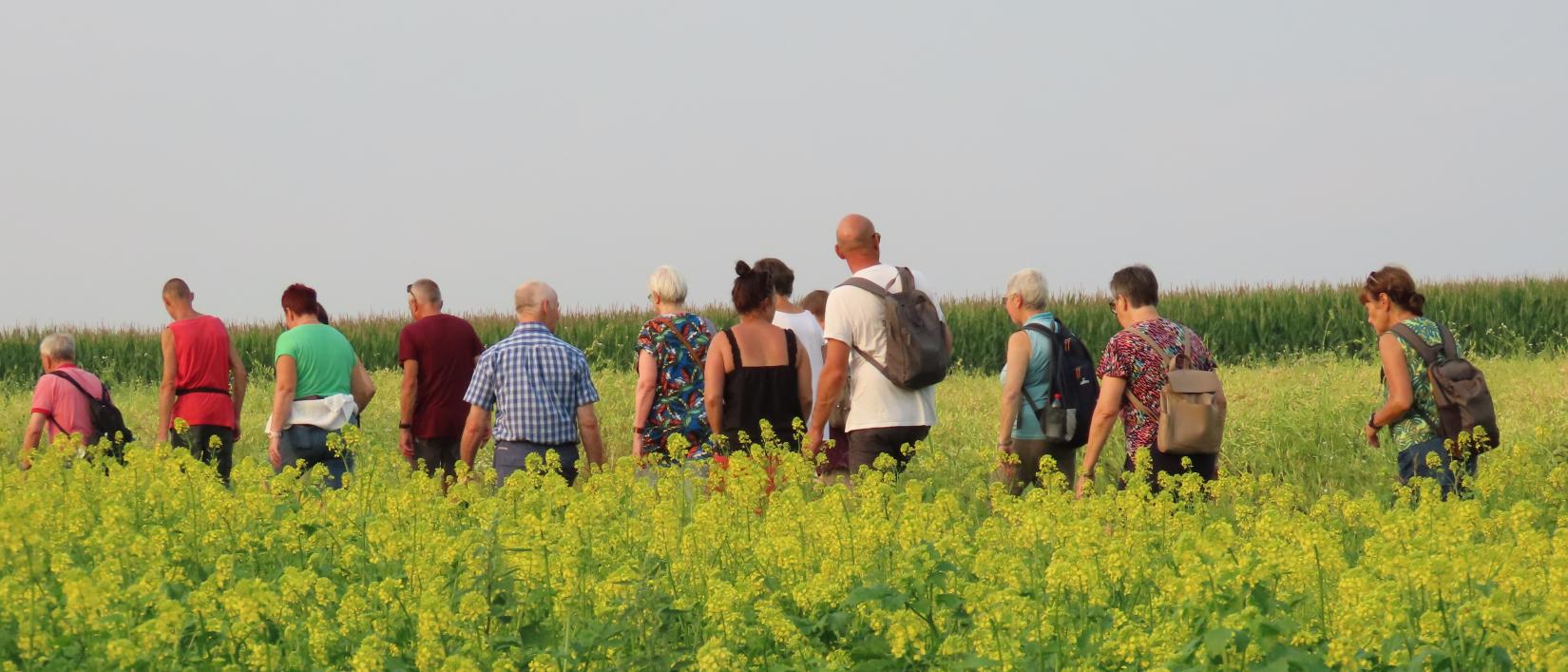 Wandelaars tijdens een prachtige zomeravond