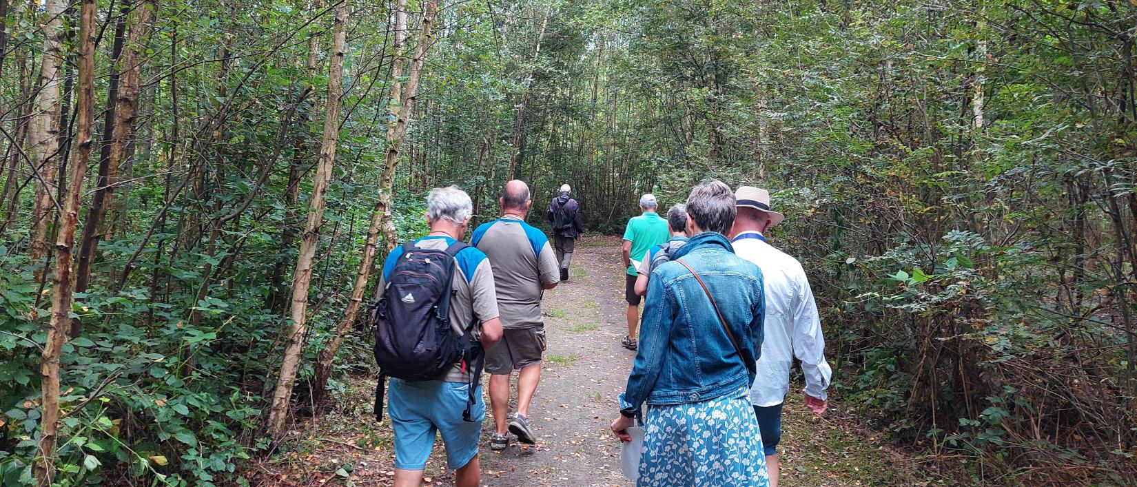 foto natuurgebied De Wijers in Bolderberg