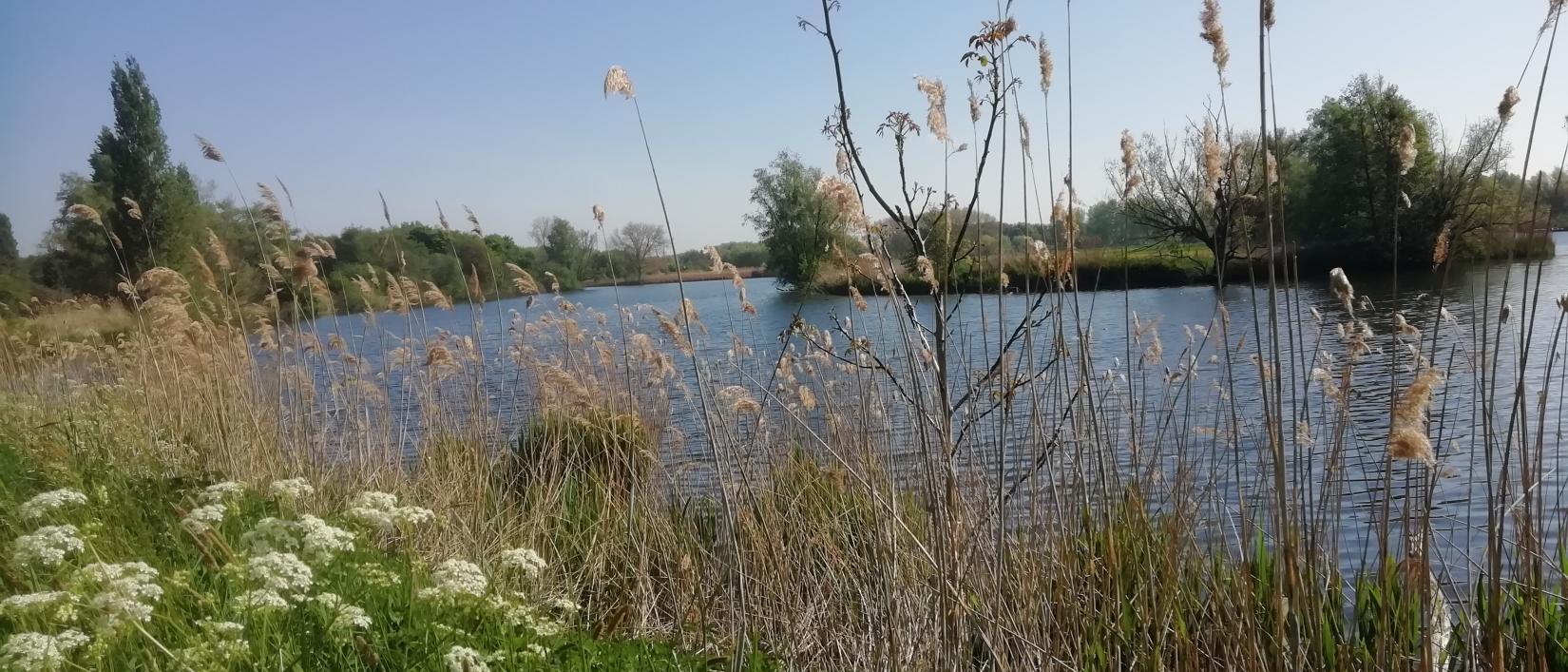 Molsbroek