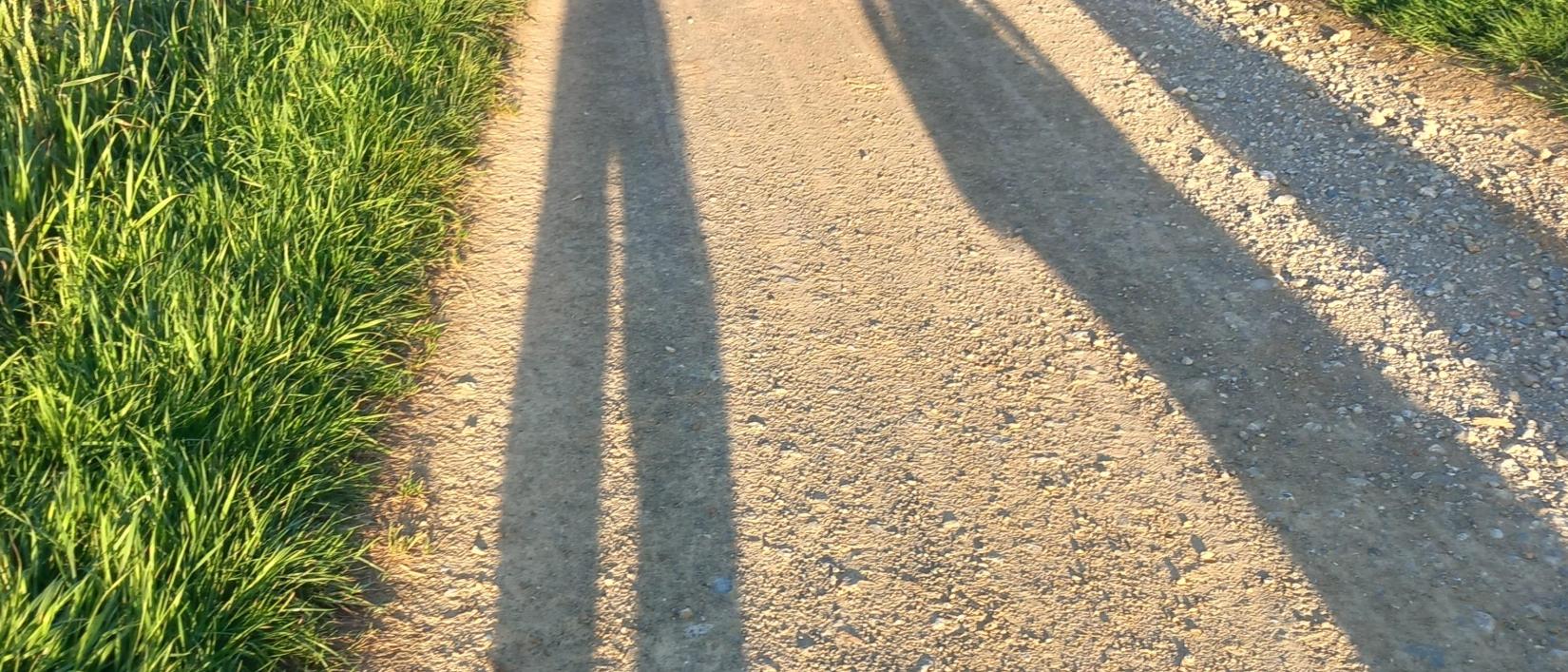 Schaduwen van wandelaars op een landweg.