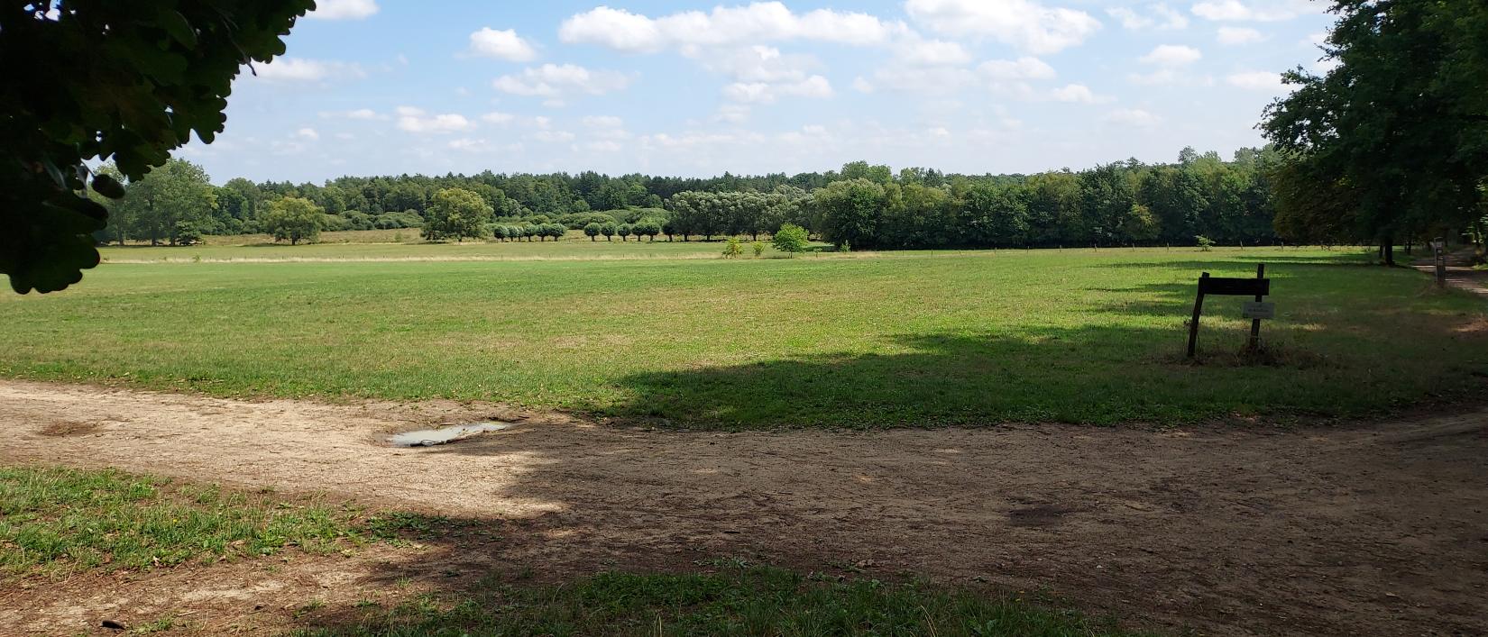 landschapzicht