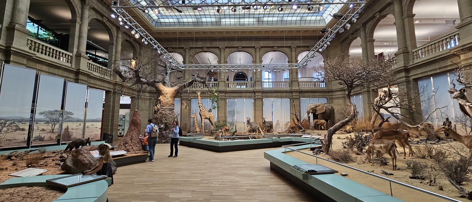 Museum Koenig