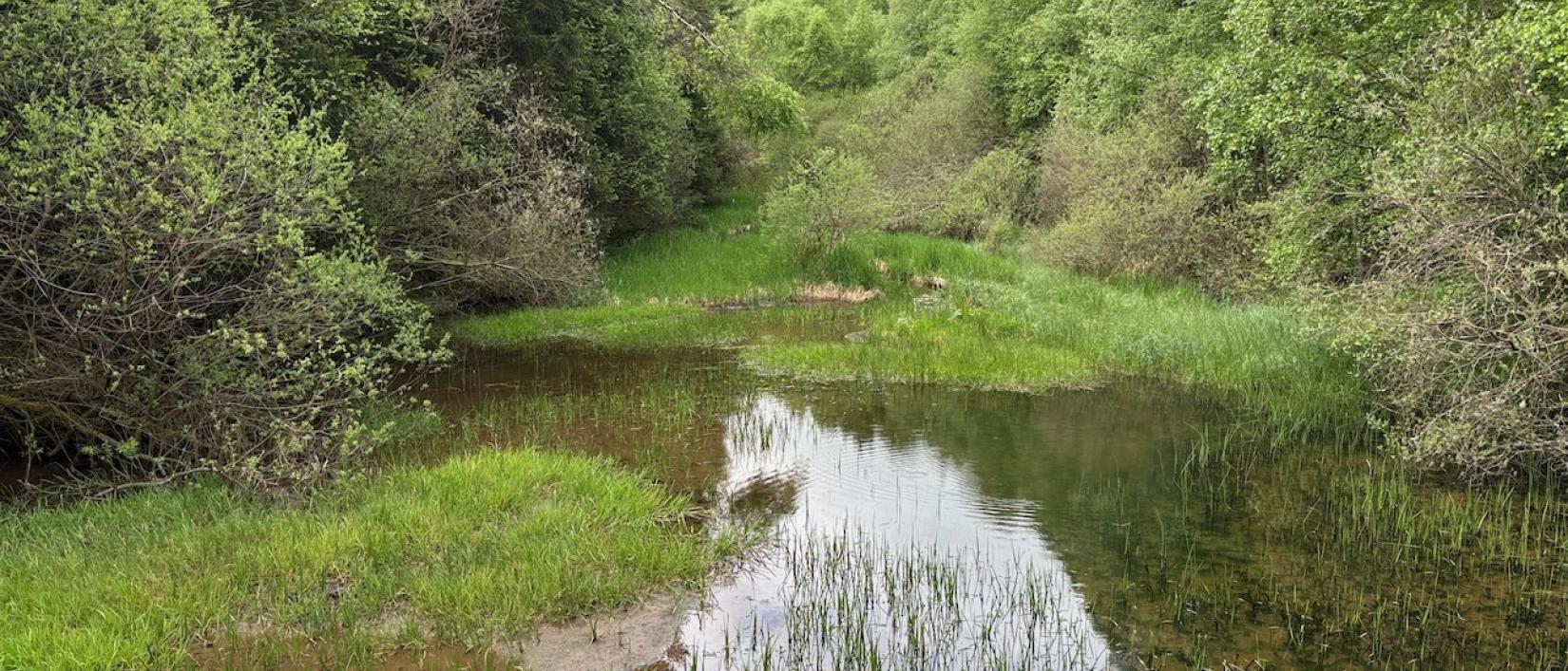 vergezicht in een rivierkloof