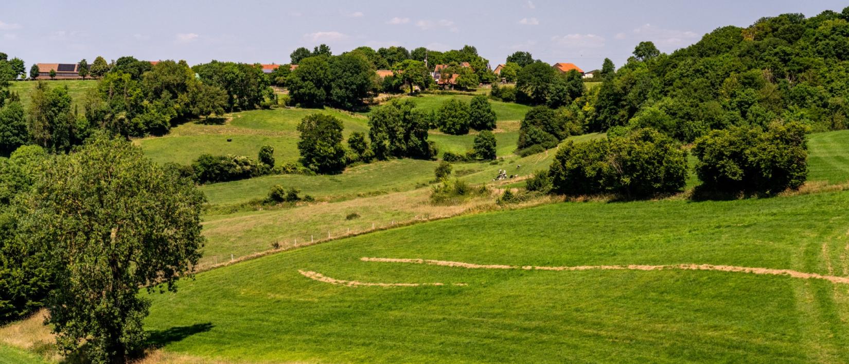 voeren