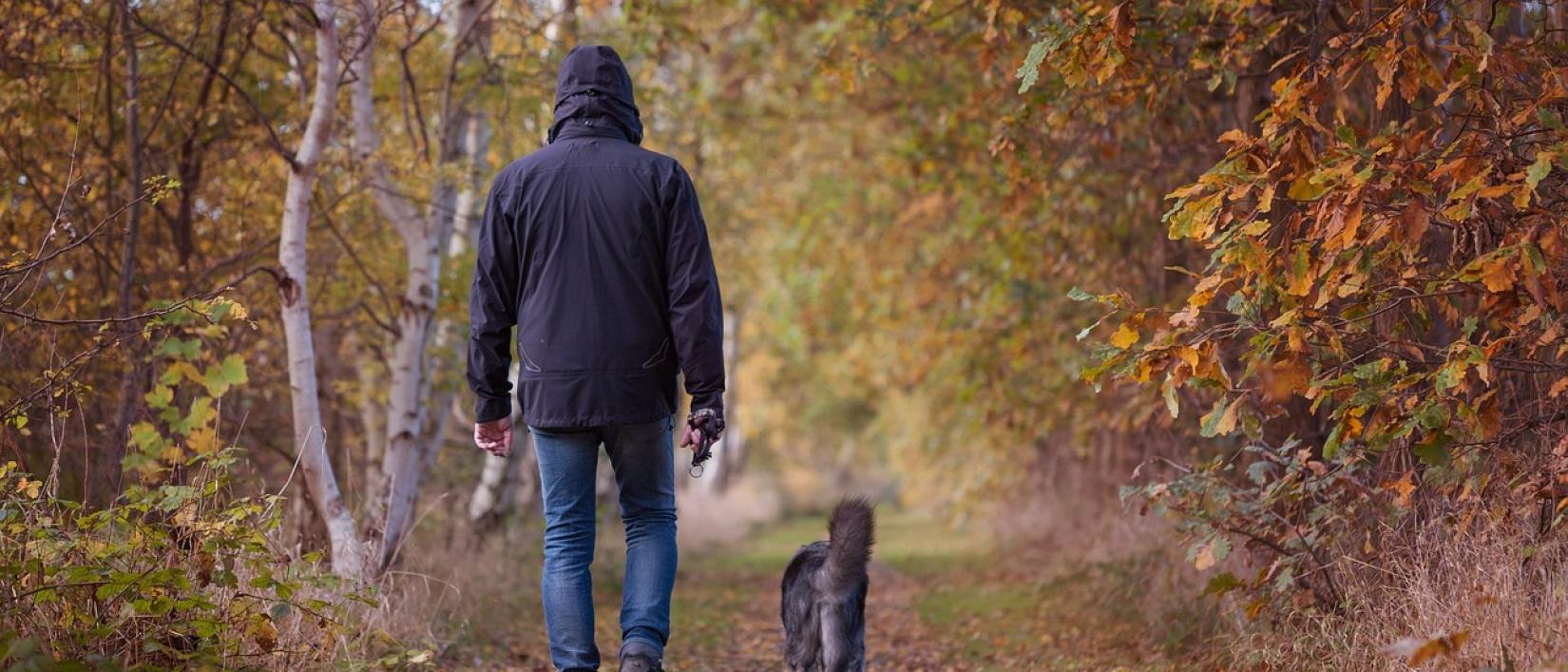 Herfstwandeling