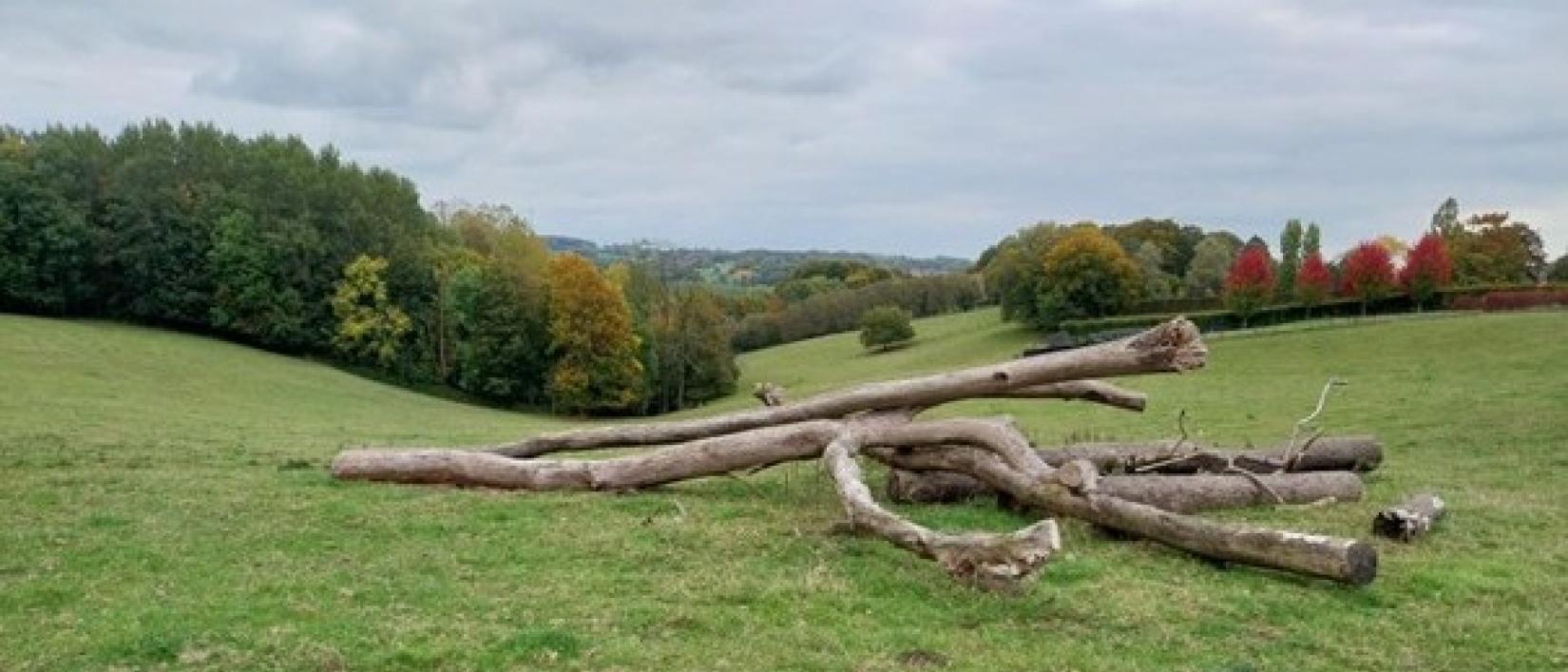 Dagwandeling