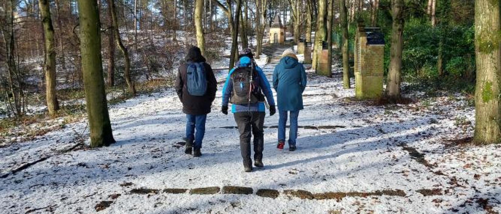 Wandeling Merode Herenthout