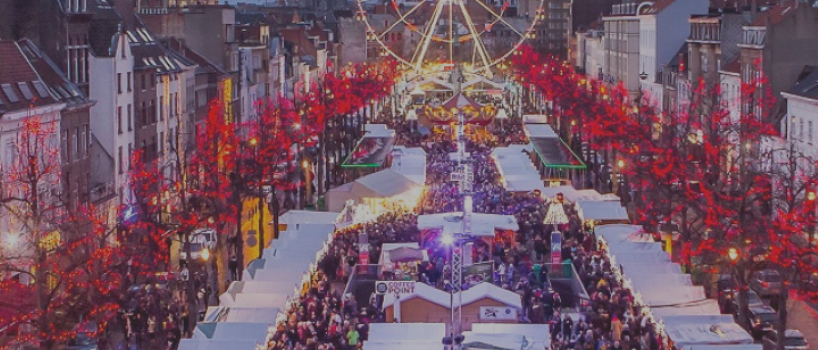 daguitstap winterpret Brussel