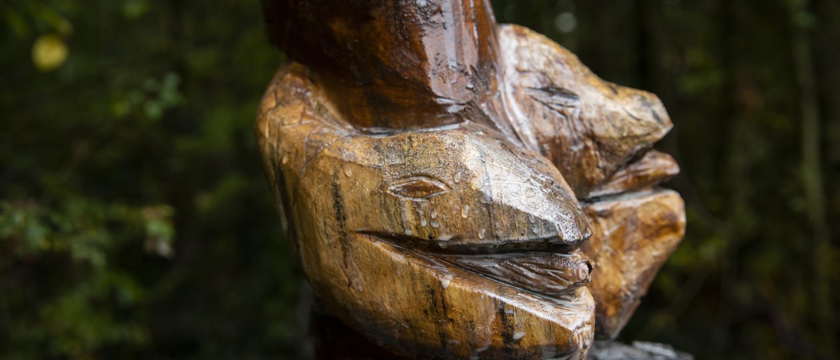 Ellen Van den Bouwhuisen