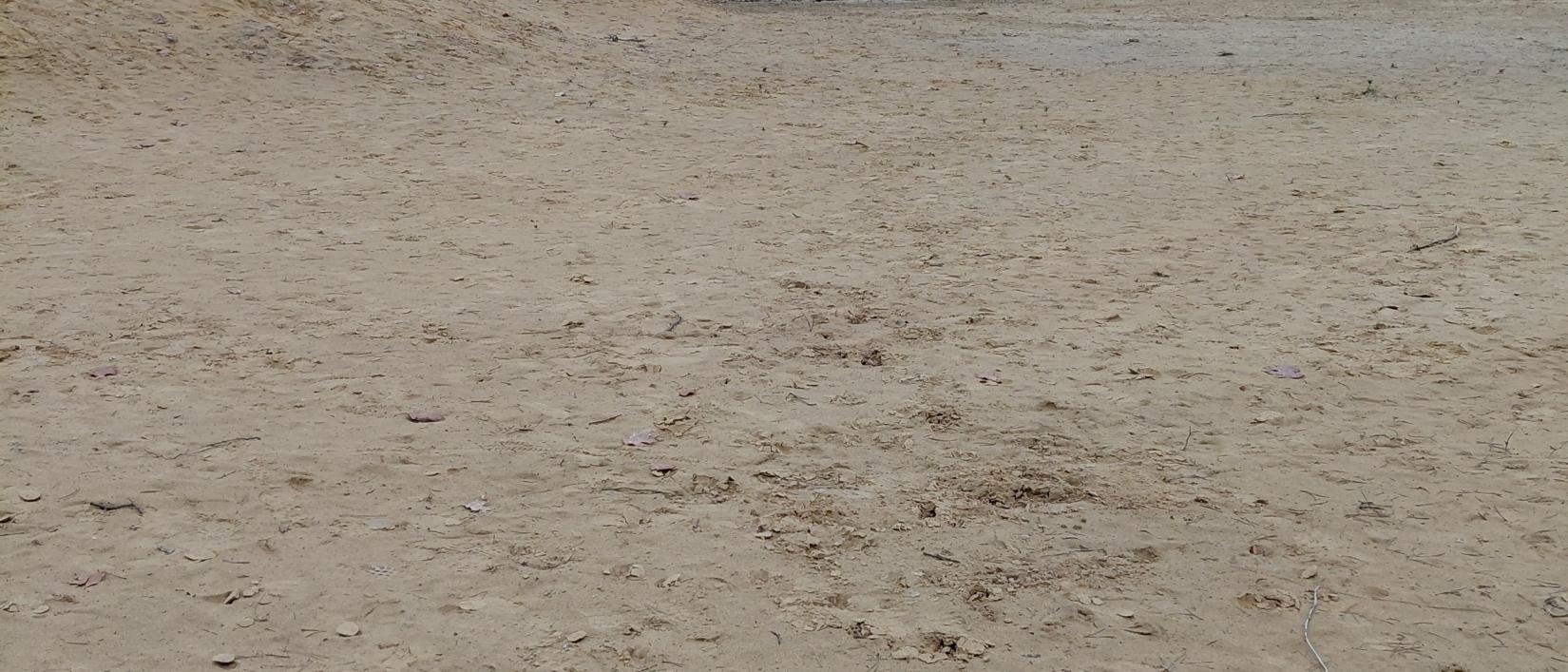 Zandduinen Molenheide