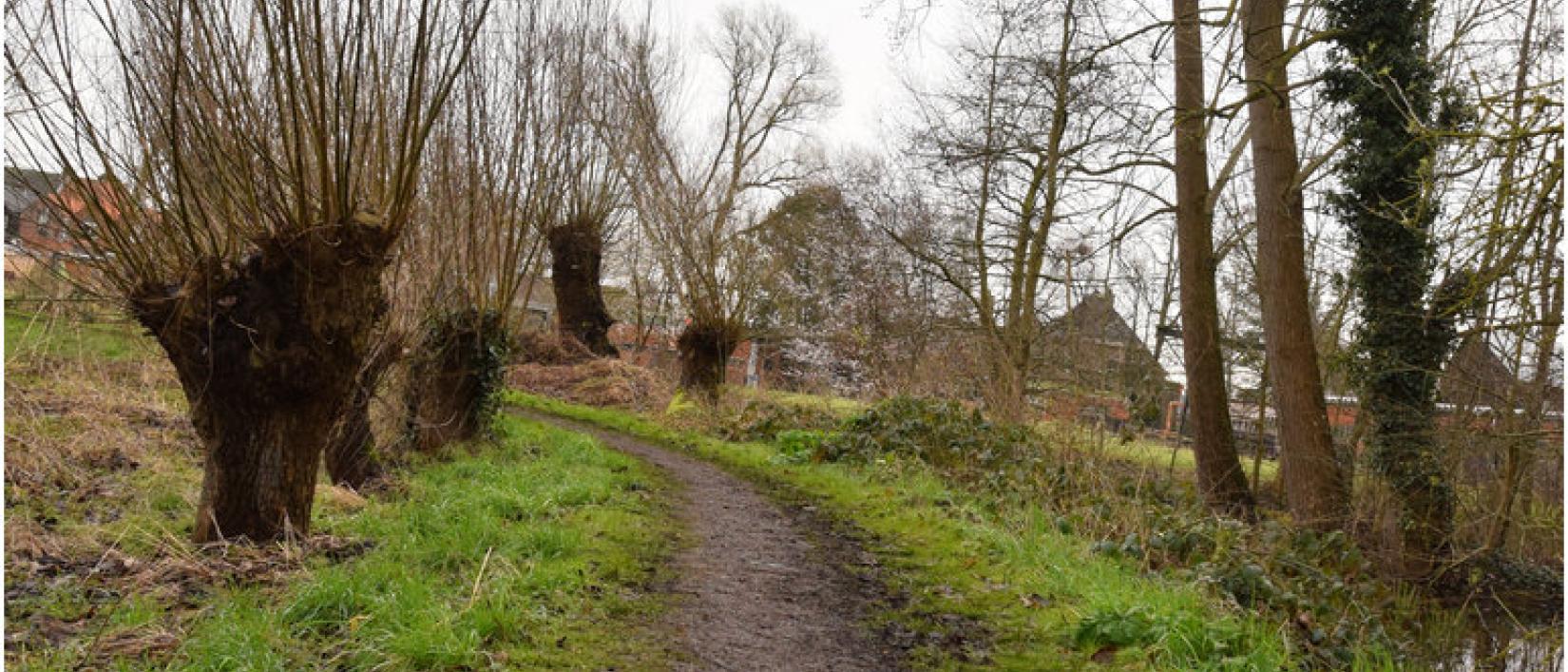 Lokeren - Buylaermeersen