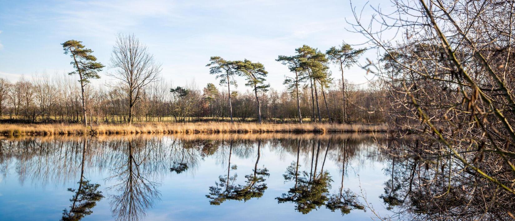 Turnhouts vennengebied