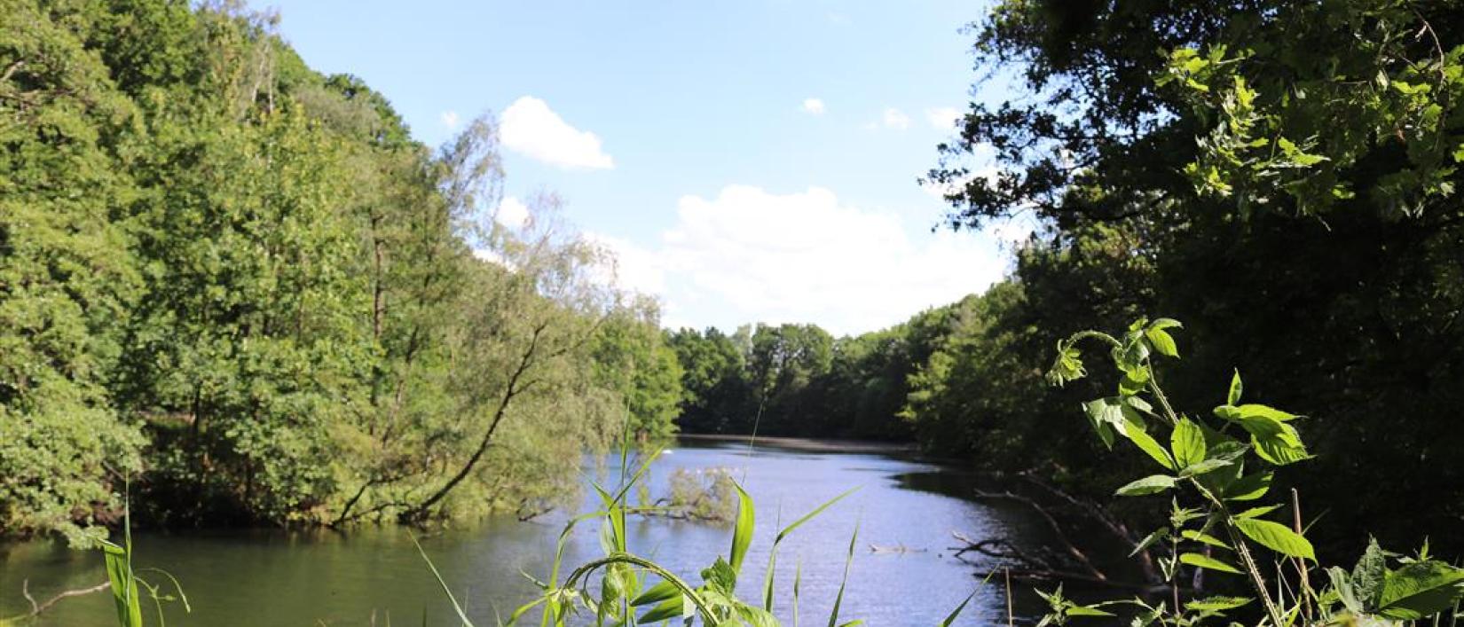 Pasar zomert - Terlinden, Edegem