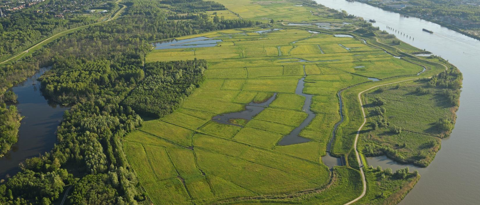 De nieuwe polder in Kruibeke