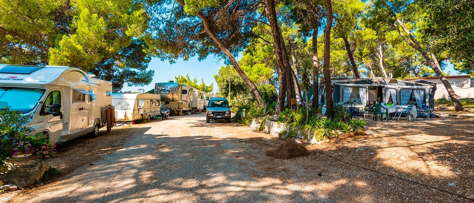 Hoofdfoto Camping Poljana