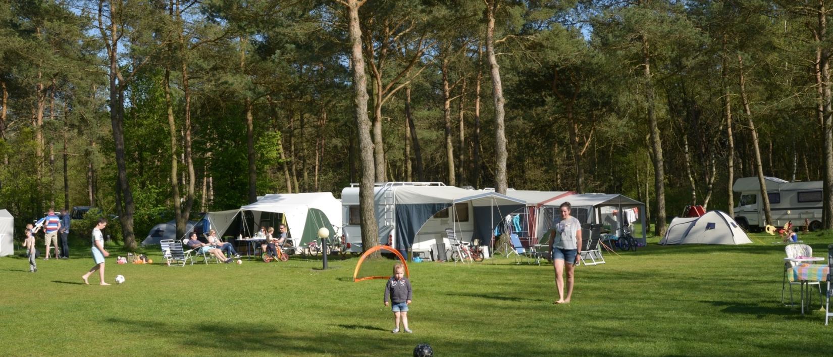 Hoofdfoto Europarcs De Wije Werelt