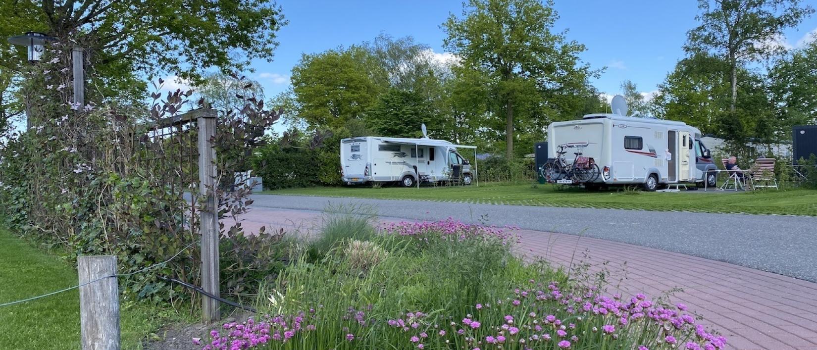 Hoofdfoto Ardoer Vakantiepark 't Rheezerwold