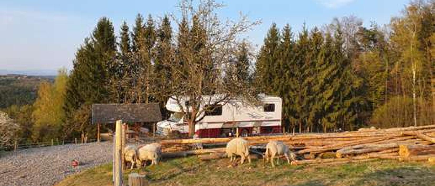 Hoofdfoto Wohlfuehloase am Trausdorfberg