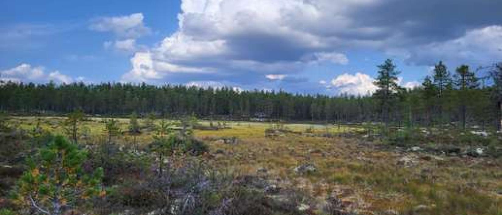 Hoofdfoto Østby