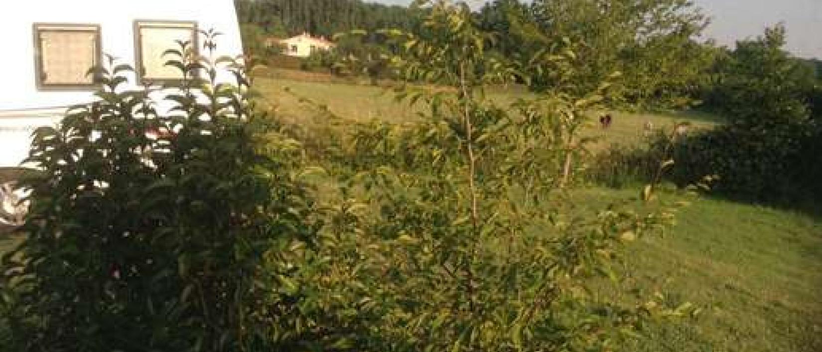 Hoofdfoto Aire Municipale