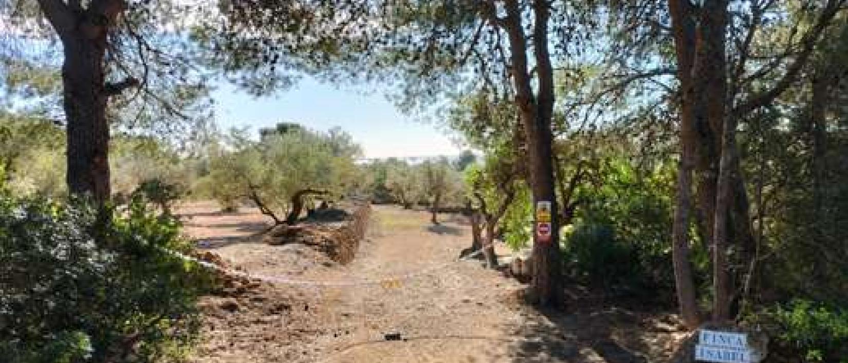 Hoofdfoto Finca Isabel