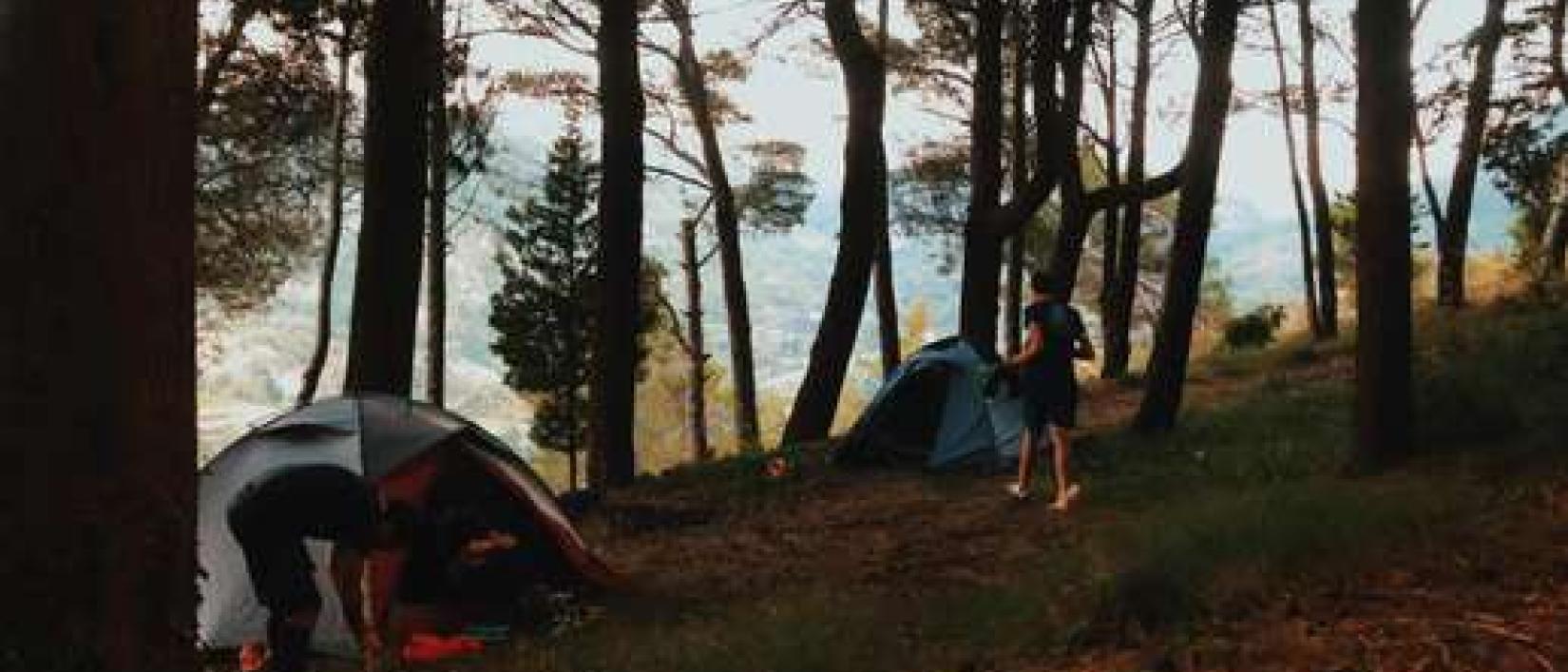 Hoofdfoto Arrusti & Mangia camping