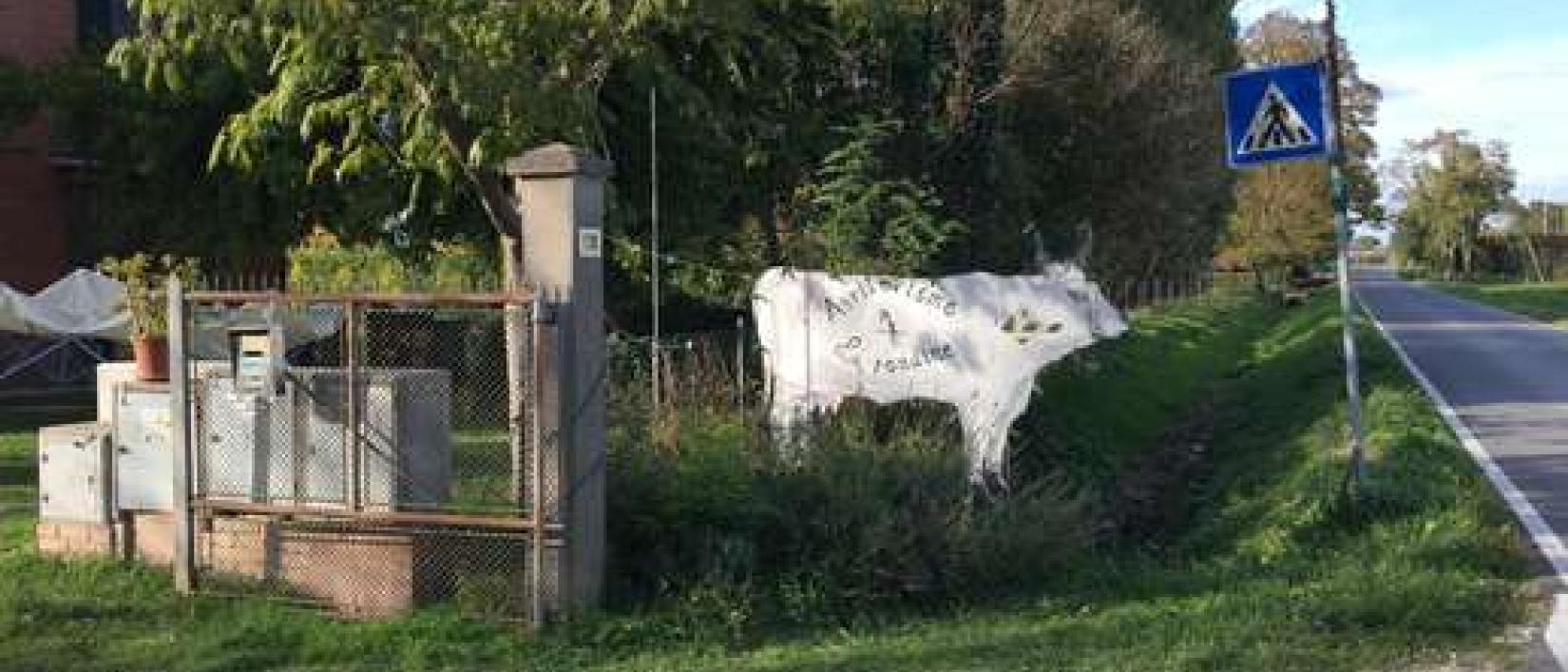 Hoofdfoto Area Fattoria La Rondine