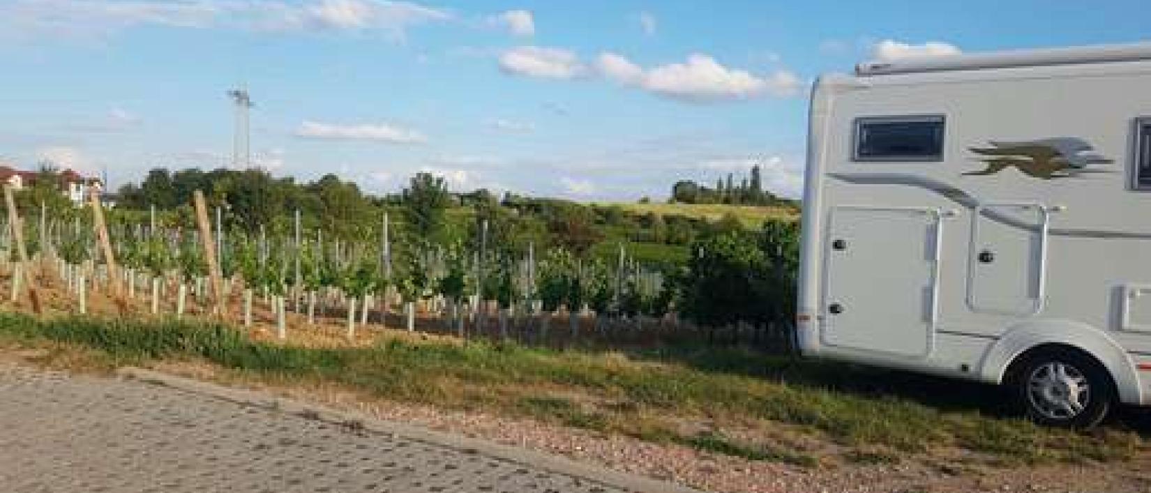 Hoofdfoto Weingut Engelmann