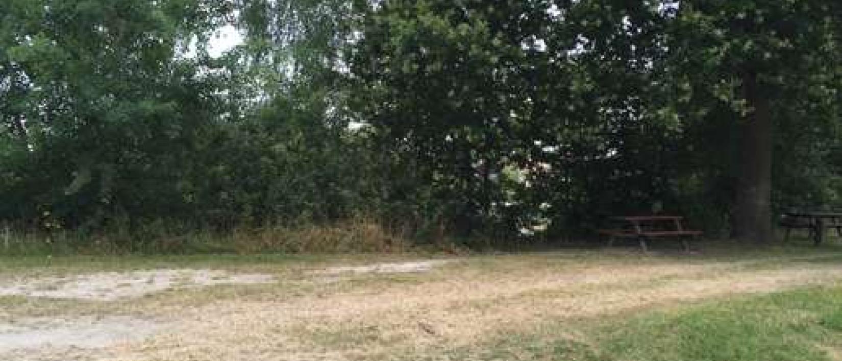 Hoofdfoto Etang de la Ville