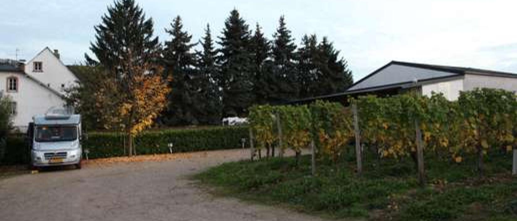Hoofdfoto Weinhaus St.Joseph/Ferien-Weingut Egon Spang