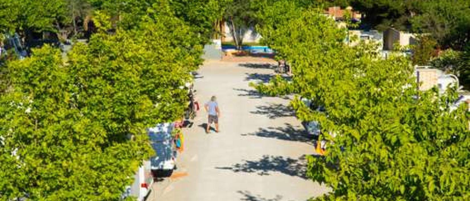 Hoofdfoto Valencia Camper Park