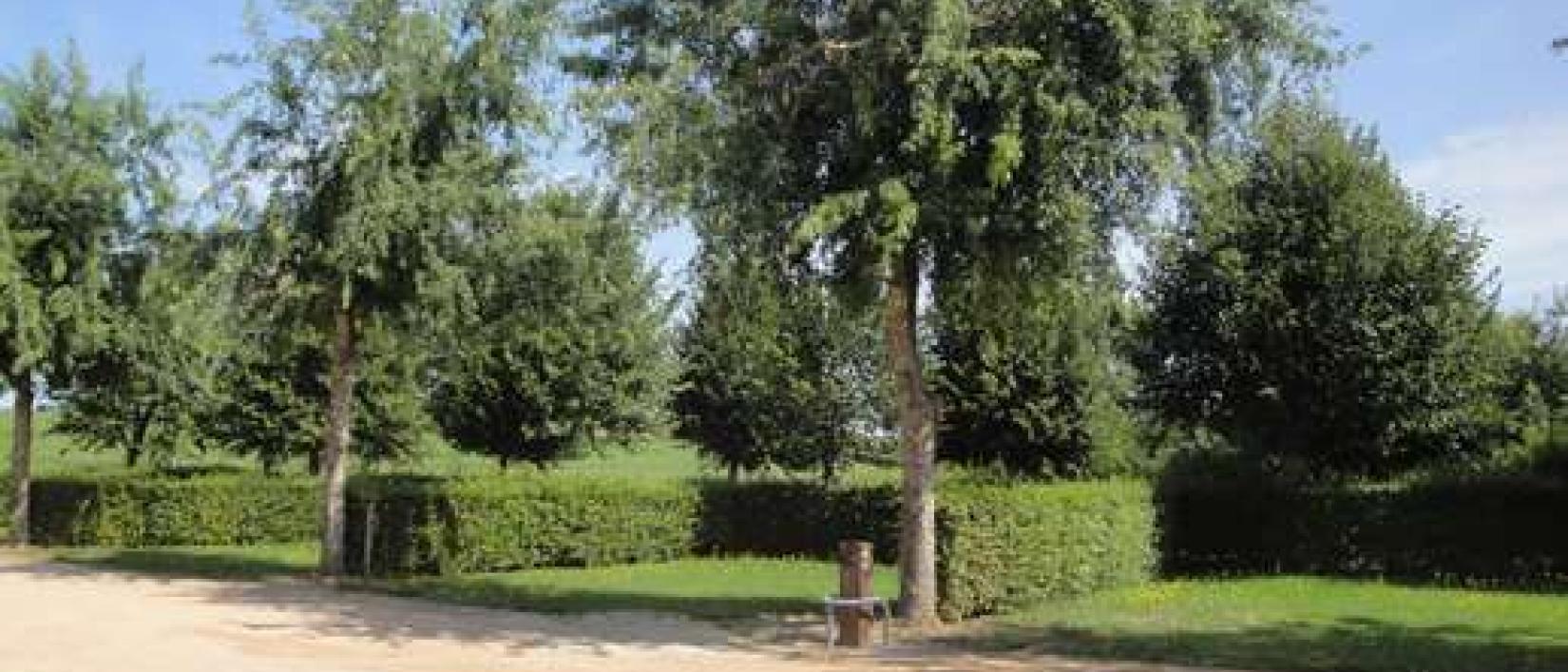 Hoofdfoto Aire Municipale