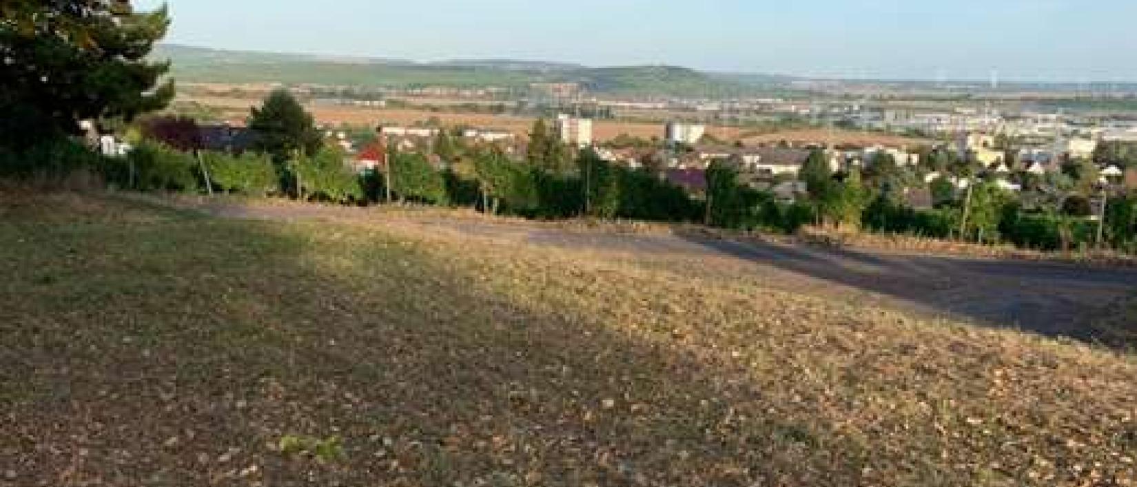 Hoofdfoto Weingut Gut Neuhof