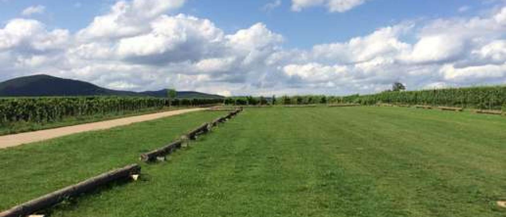 Hoofdfoto Weingut Erlenmühle