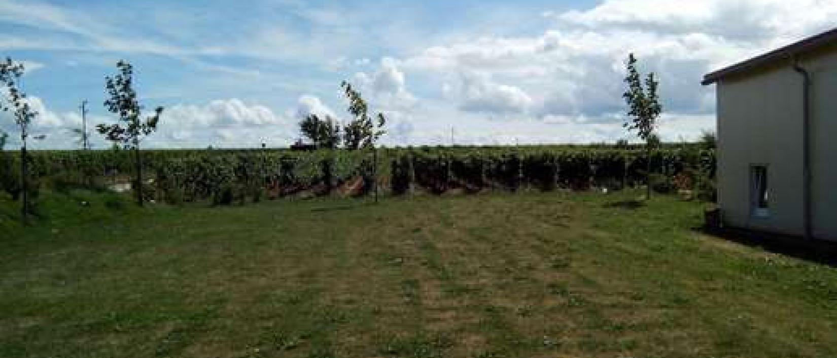 Hoofdfoto Weingut Boos