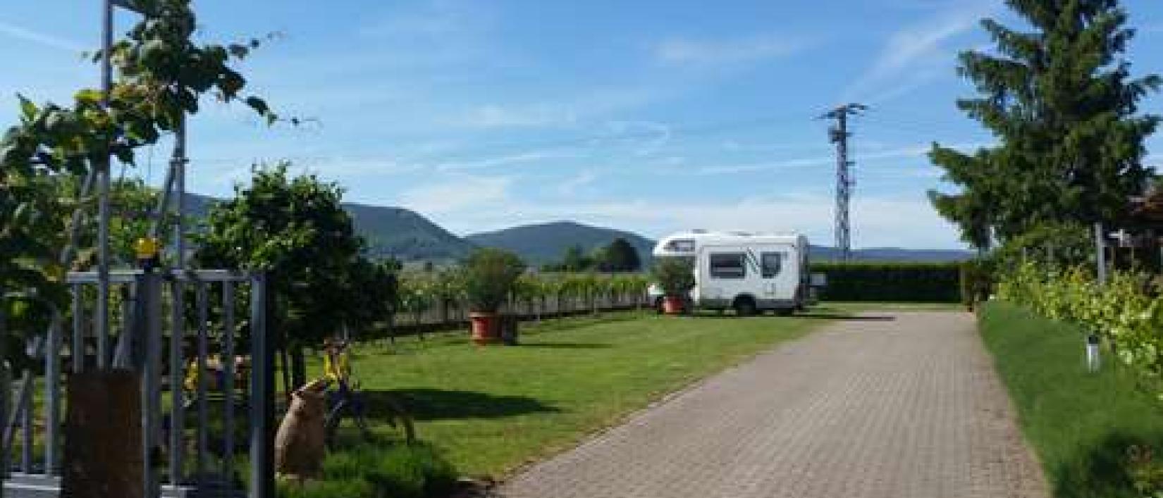 Hoofdfoto Weingut Helmut Koch